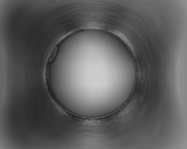 X0000089390901200706291332
