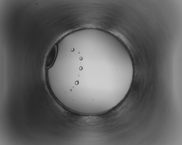 X0000089390902200706291332