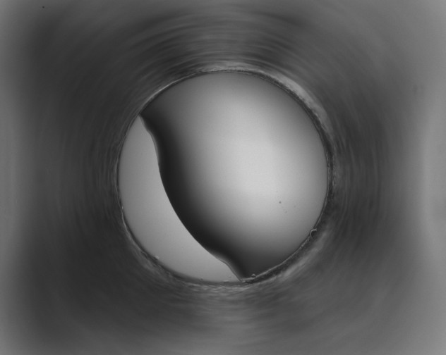 X0000089390905200706291332