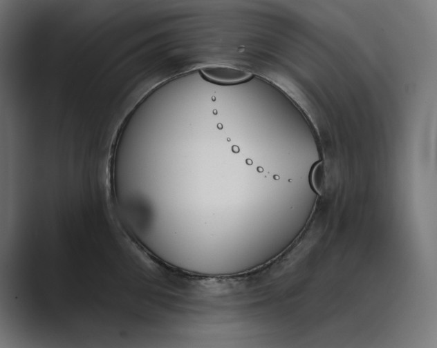 X0000089390906200706291332