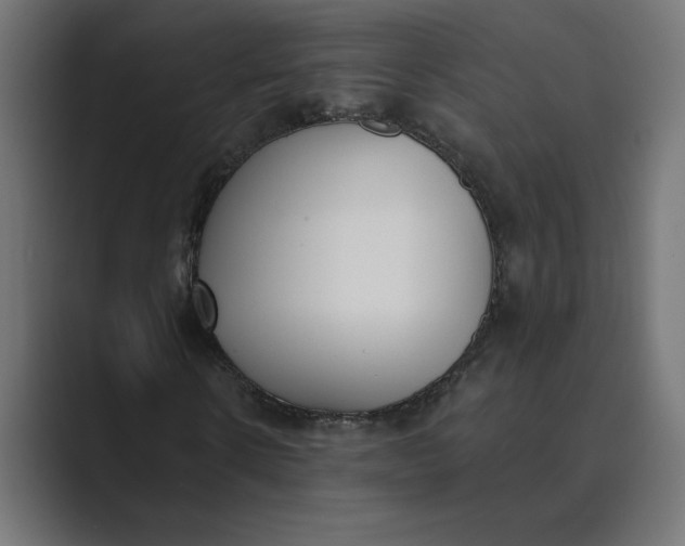 X0000089390914200706291332