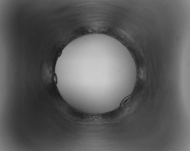 X0000089390915200706291332