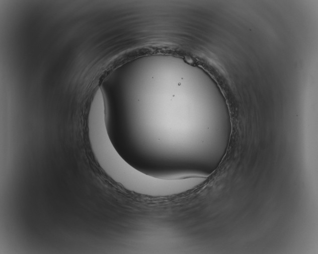 X0000089390920200706291332