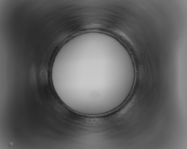 X0000089390921200706291332