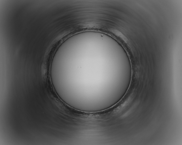 X0000089390922200706291332