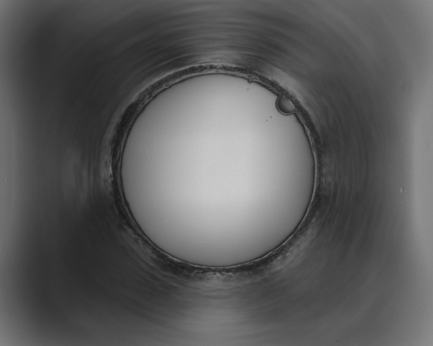 X0000089390923200706291332