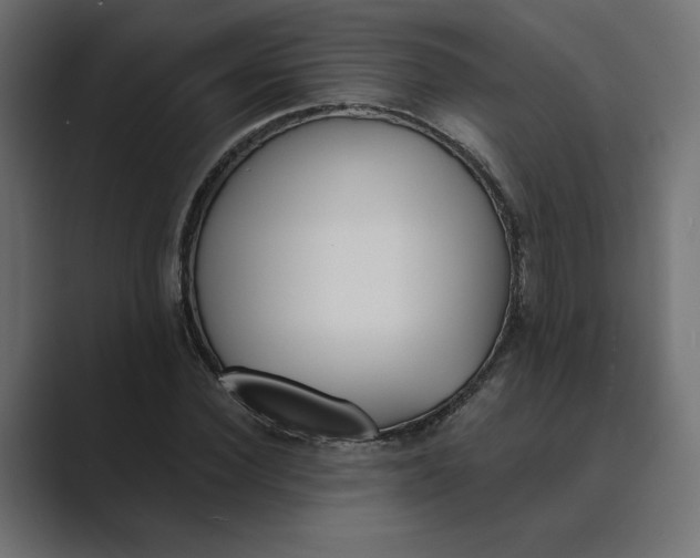 X0000089390924200706291332