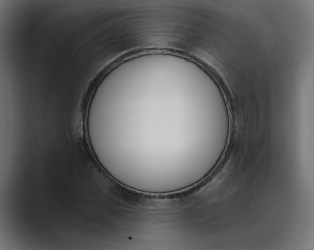 X0000089390925200706291332