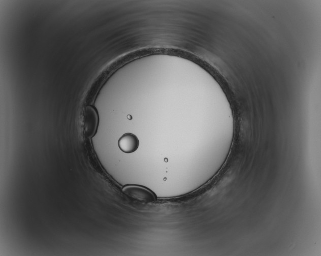 X0000089390926200706291332