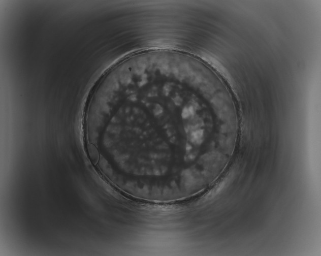 X0000089390941200706291332