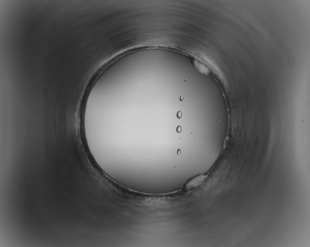 X0000089390944200706291332