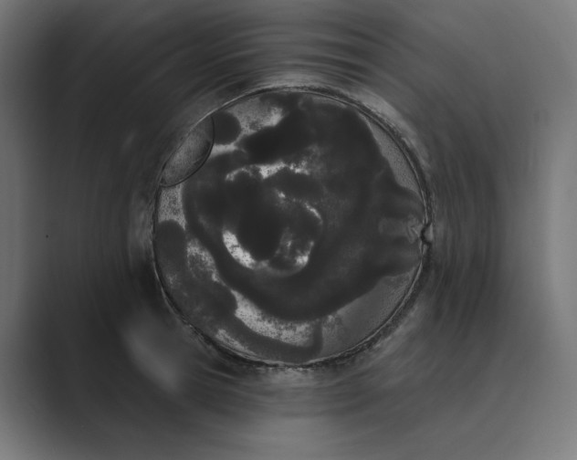 X0000089390945200706291332
