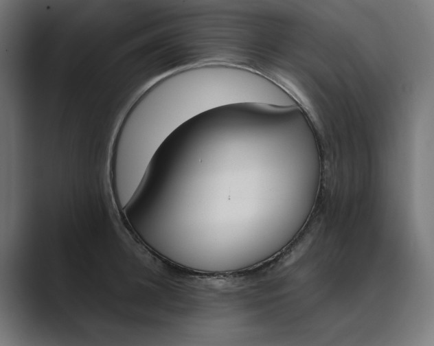 X0000089390948200706291332