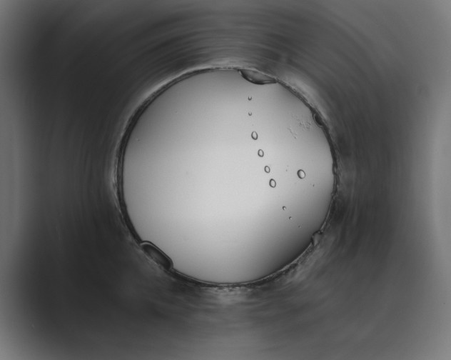 X0000089390952200706291332
