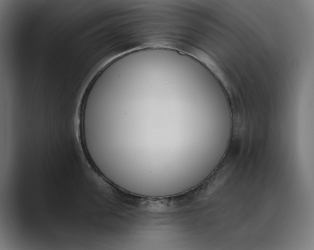 X0000089390955200706291332