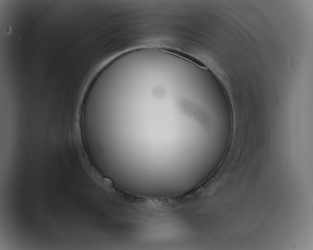X0000089390960200706291332