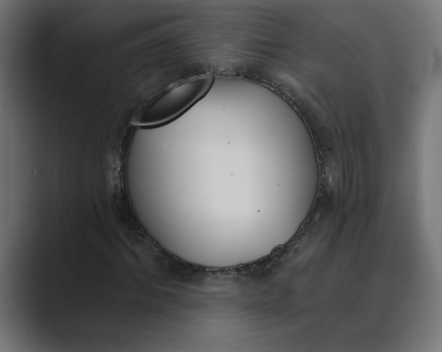 X0000089390964200706291332
