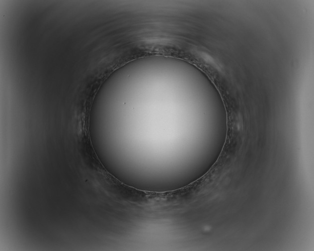 X0000089390965200706291332