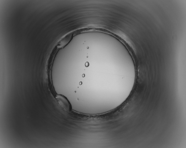 X0000089390972200706291331
