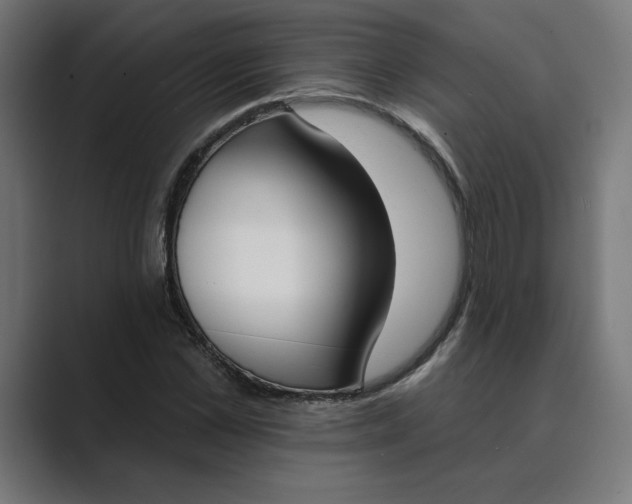X0000089390973200706291331