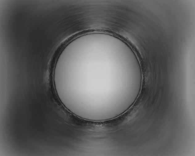 X0000089390975200706291331