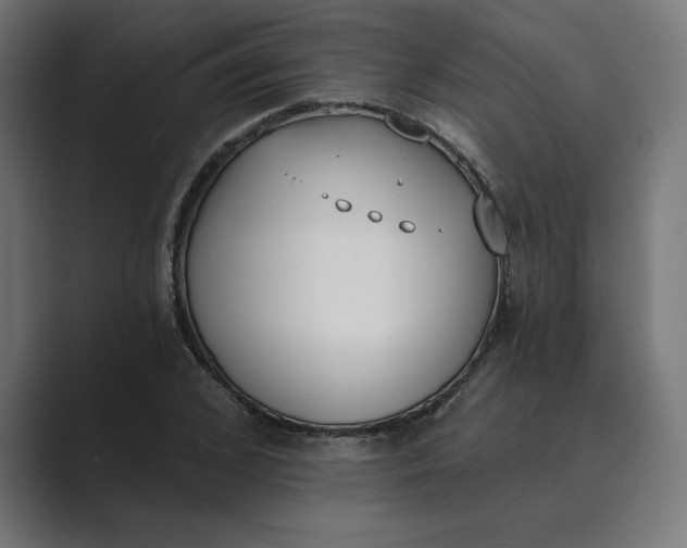 X0000089390976200706291331