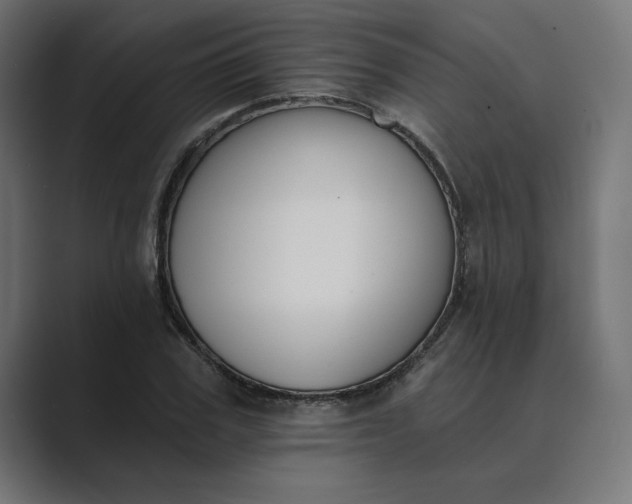 X0000089390979200706291331