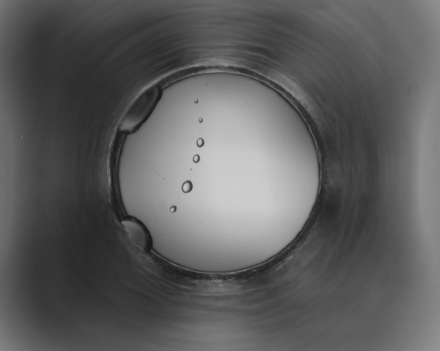 X0000089390980200706291331