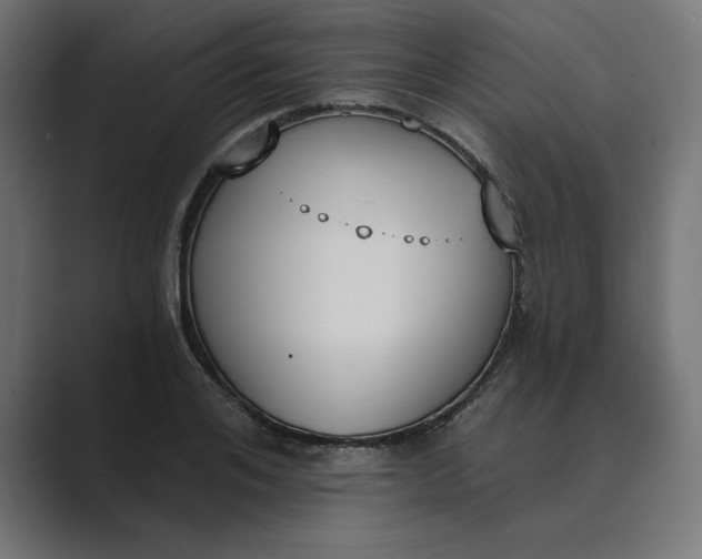 X0000089390984200706291331