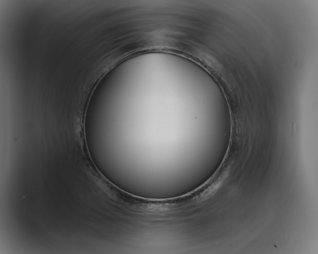 X0000089390985200706291331