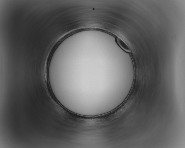 X0000089390988200706291331
