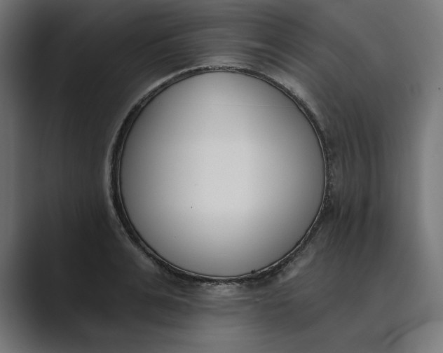 X0000089390991200706291331