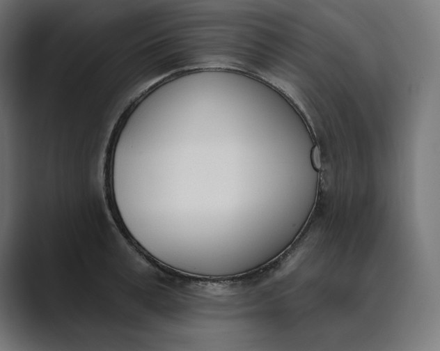 X0000089390995200706291331