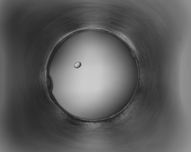 X0000089390996200706291331
