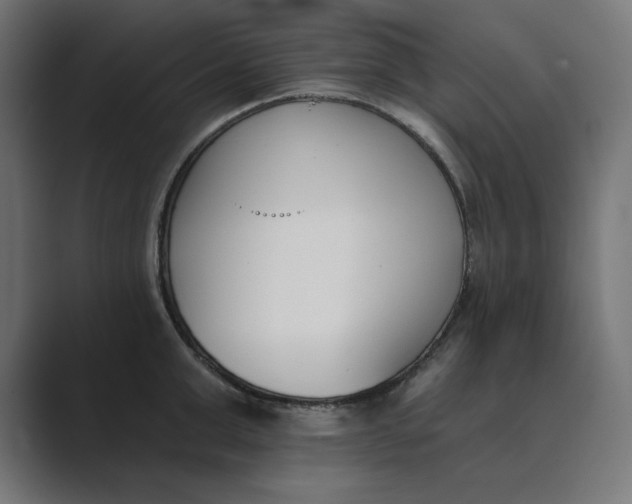 X0000089390999200706291331