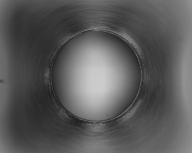 X0000089391001200706291331