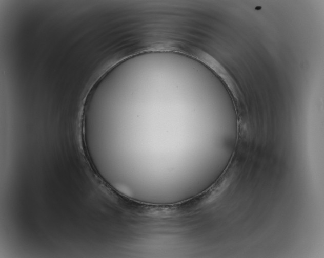 X0000089391002200706291331