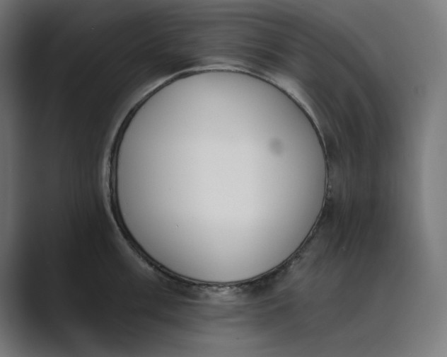 X0000089391003200706291331