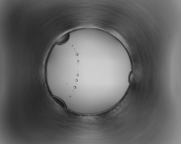 X0000089391004200706291331