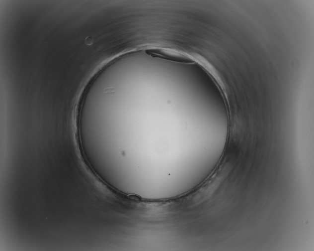X0000089391005200706291331