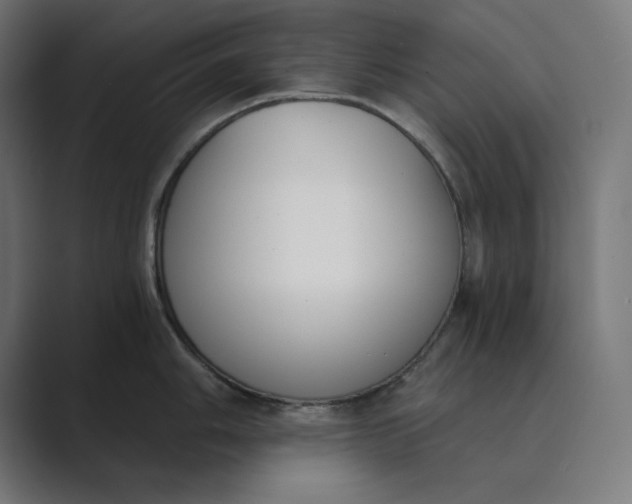 X0000089391006200706291331