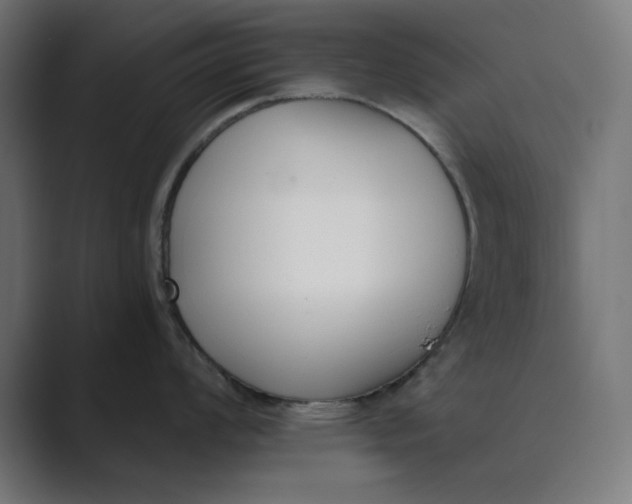 X0000089391008200706291331