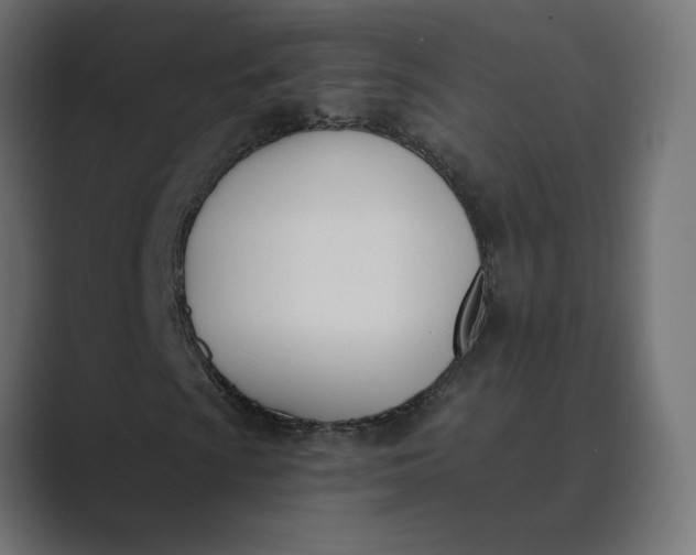 X0000089391009200706291331