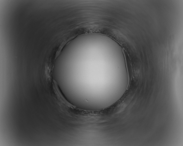 X0000089391010200706291331