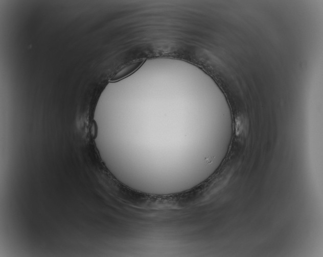 X0000089391011200706291331