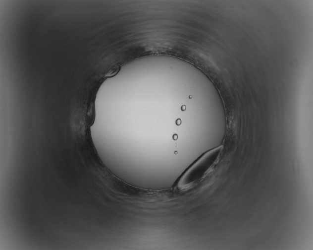 X0000089391012200706291331