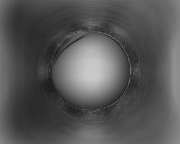X0000089391014200706291331