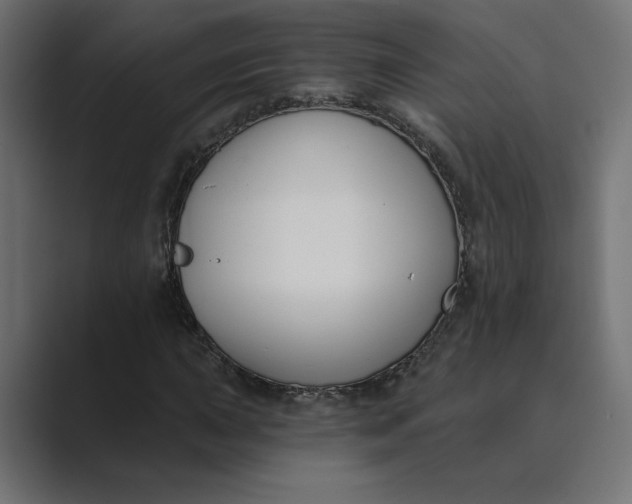 X0000089391015200706291331