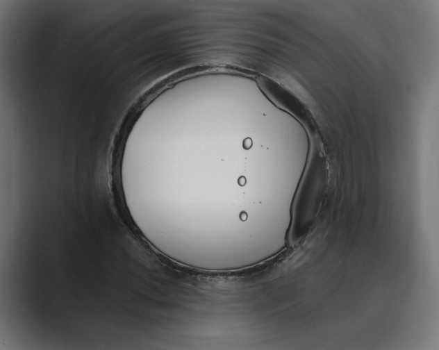 X0000089391020200706291331