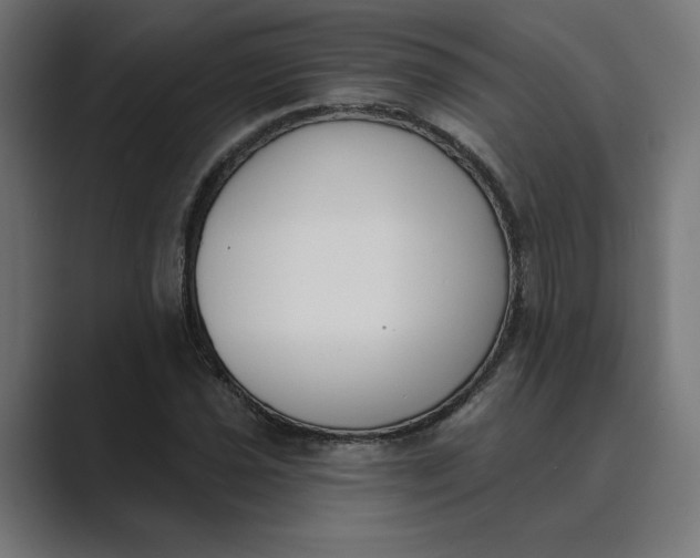 X0000089391021200706291331